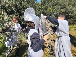 Necrópolis Carmona 26 3