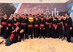 Flamenco 360 26 1